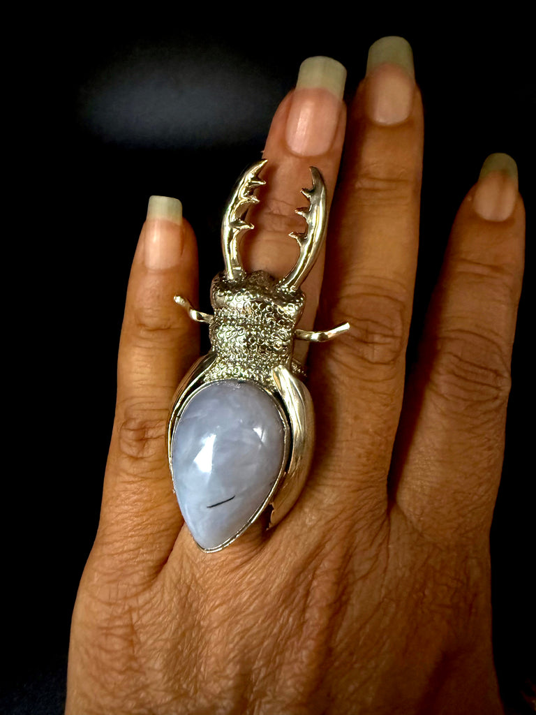 Stag Beetle with Gray Agate Ring
